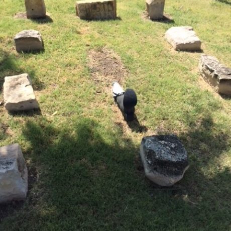 Chesters Grave